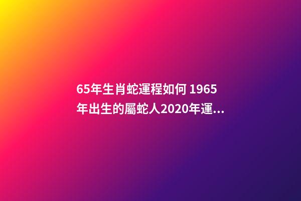 65年生肖蛇運程如何 1965年出生的屬蛇人2020年運勢-第1張-觀點-玄機派